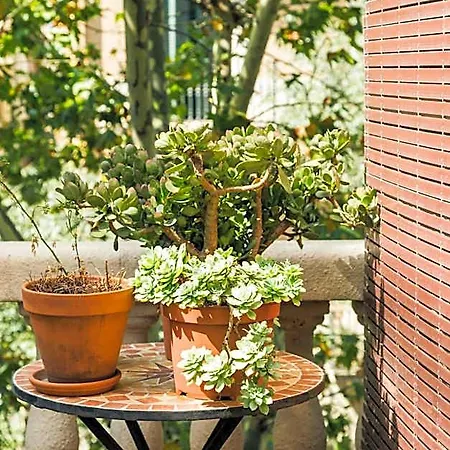 La Casa Gran Barcelona