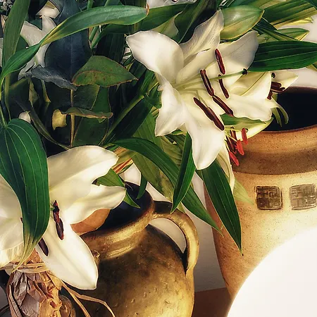 La Casa Gran Bed & Breakfast 4*