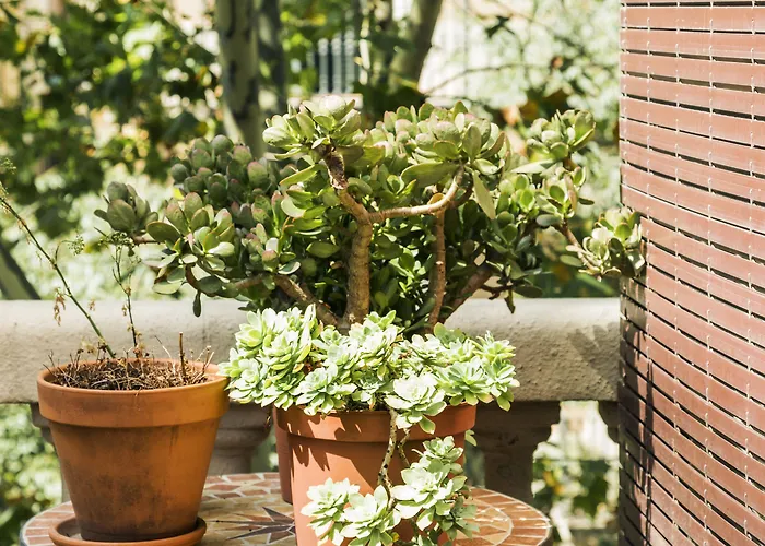 Couette-café La Casa Gran 4*