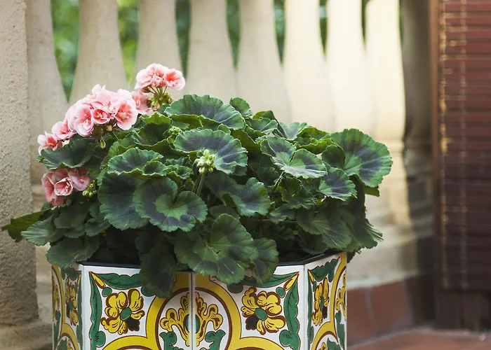 Couette-café La Casa Gran Barcelone